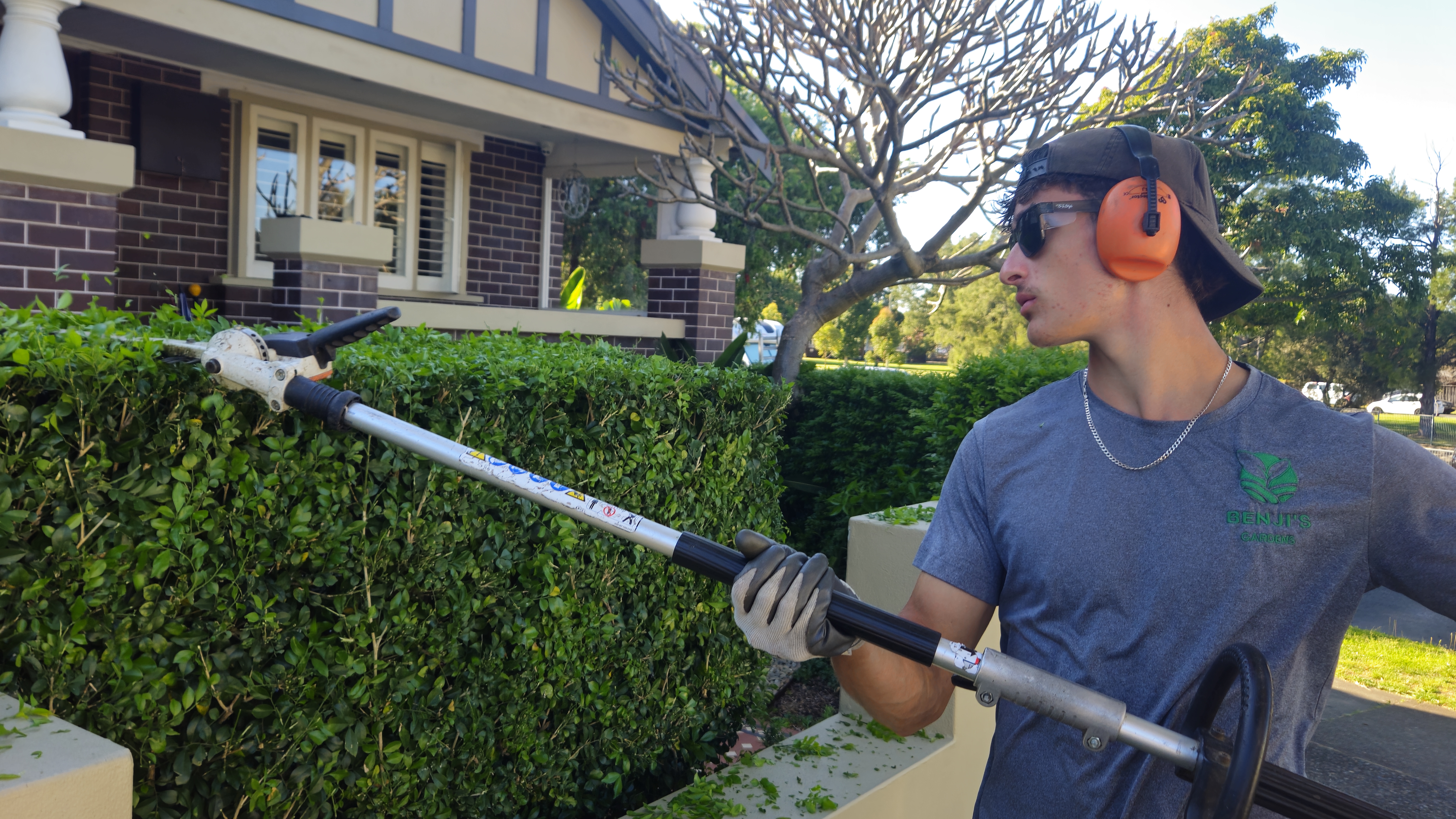 Benji shaping a tall formal hedge at a heritage property in Five Dock, Inner West Sydney