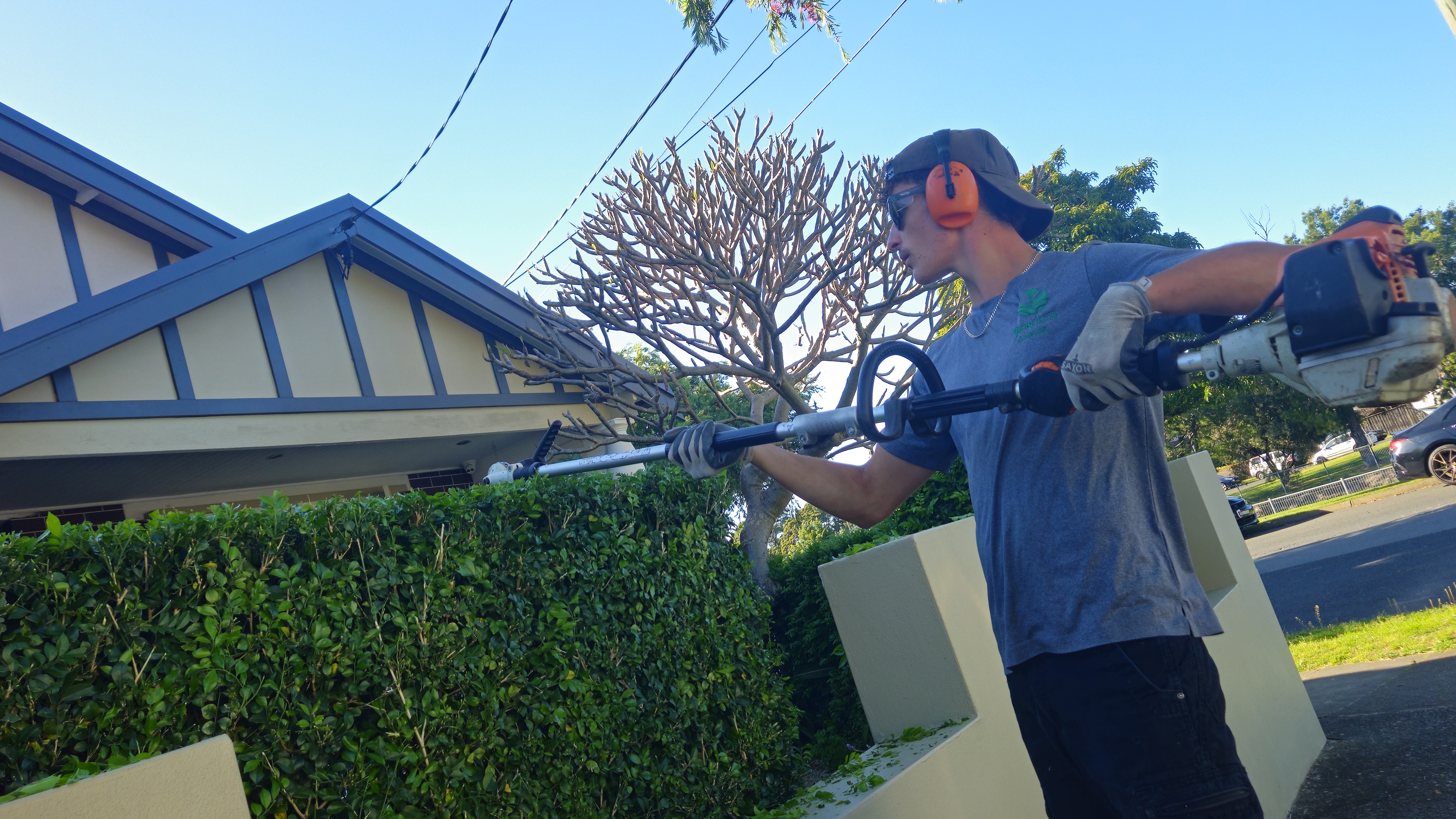 Well-maintained garden — Benji's Gardens Sydney