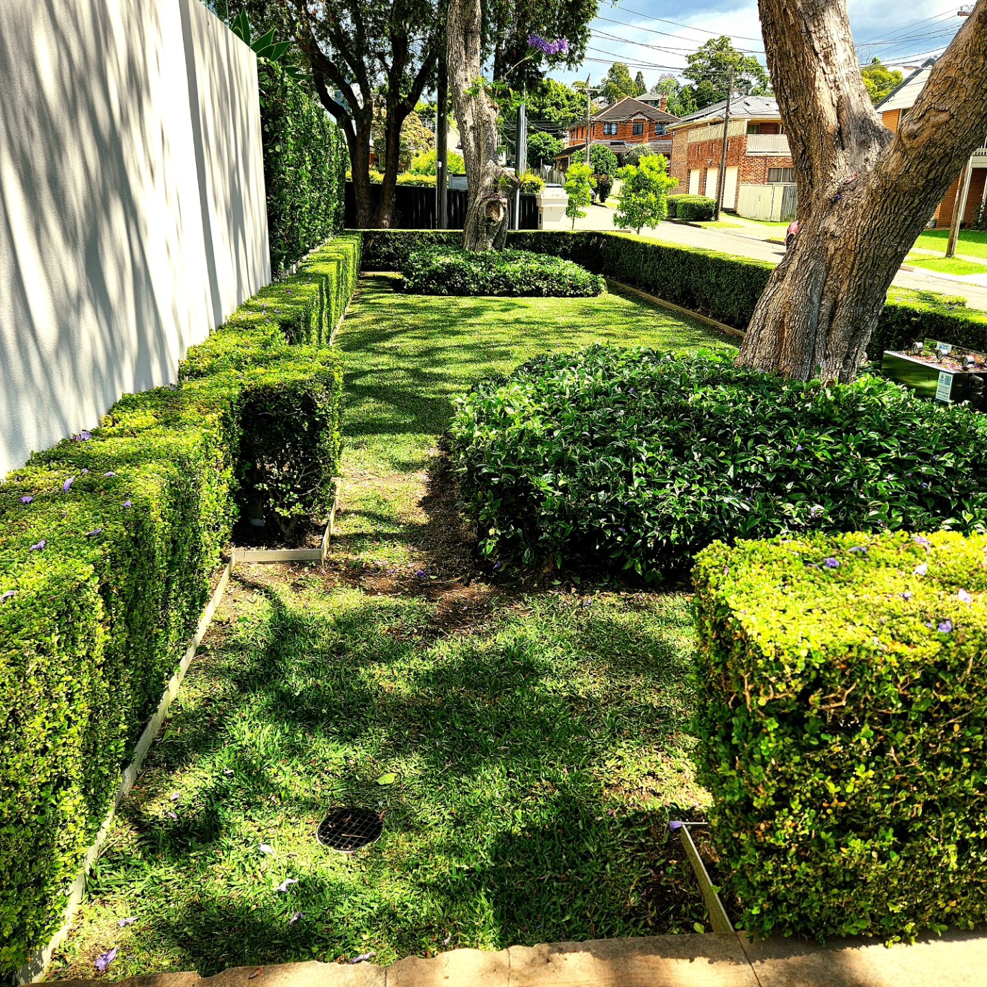 Multi-level formal hedging with stone paths and lawn — Sydney