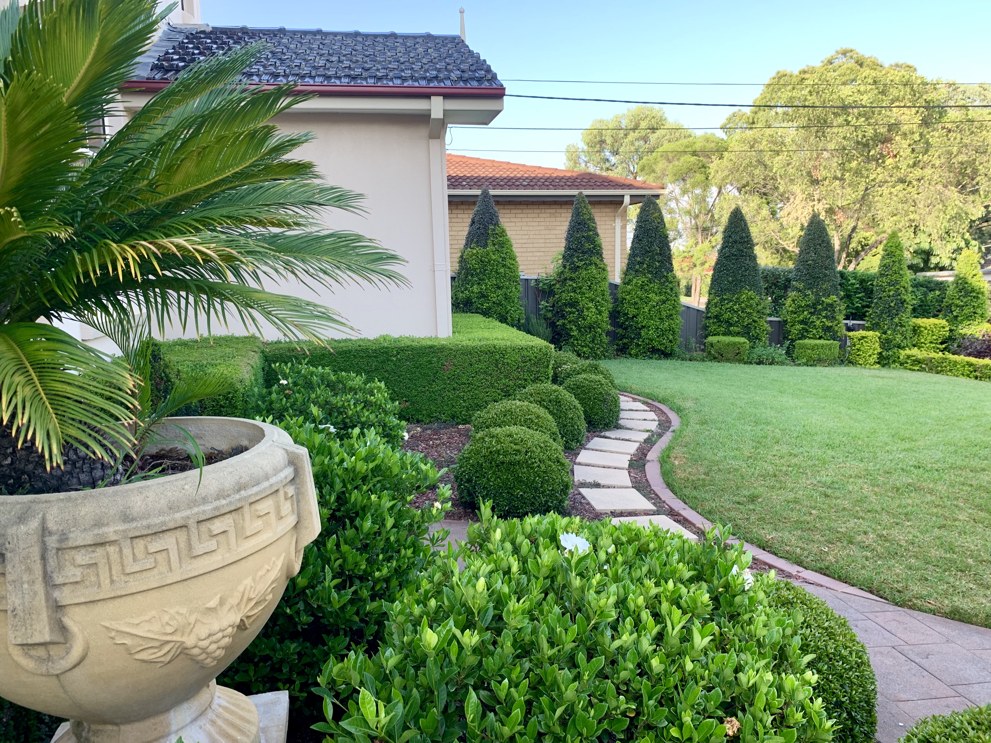 Ornate formal garden with cone topiaries and buxus spheres — Sydney