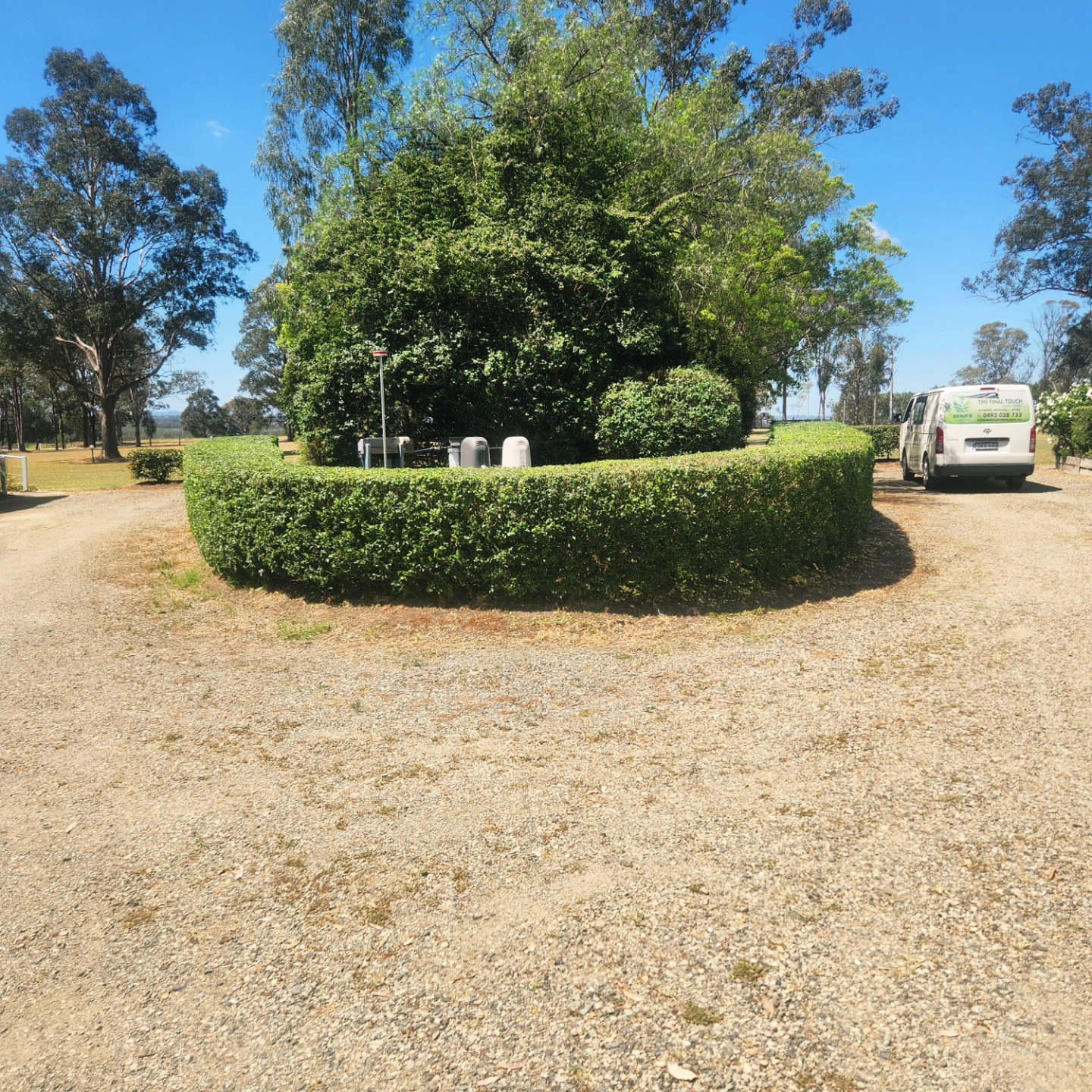 Circular hedge feature around a tree — Hills District