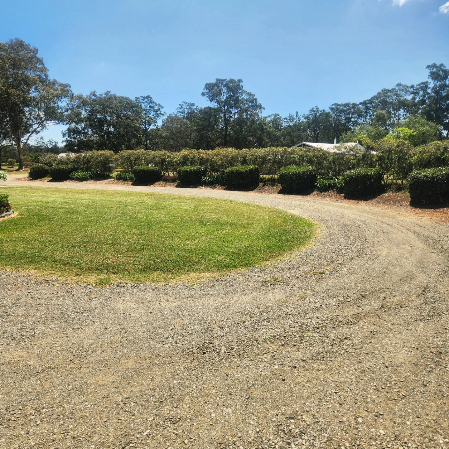 Curved gravel driveway with shaped hedge row — Hills District acreage estate