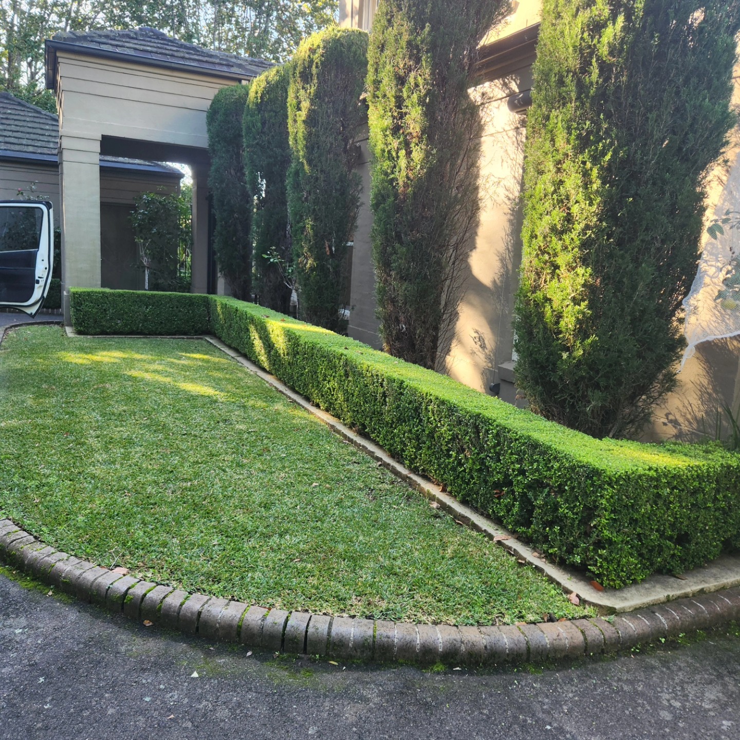 Formal buxus hedging at a prestigious driveway entrance — Upper North Shore