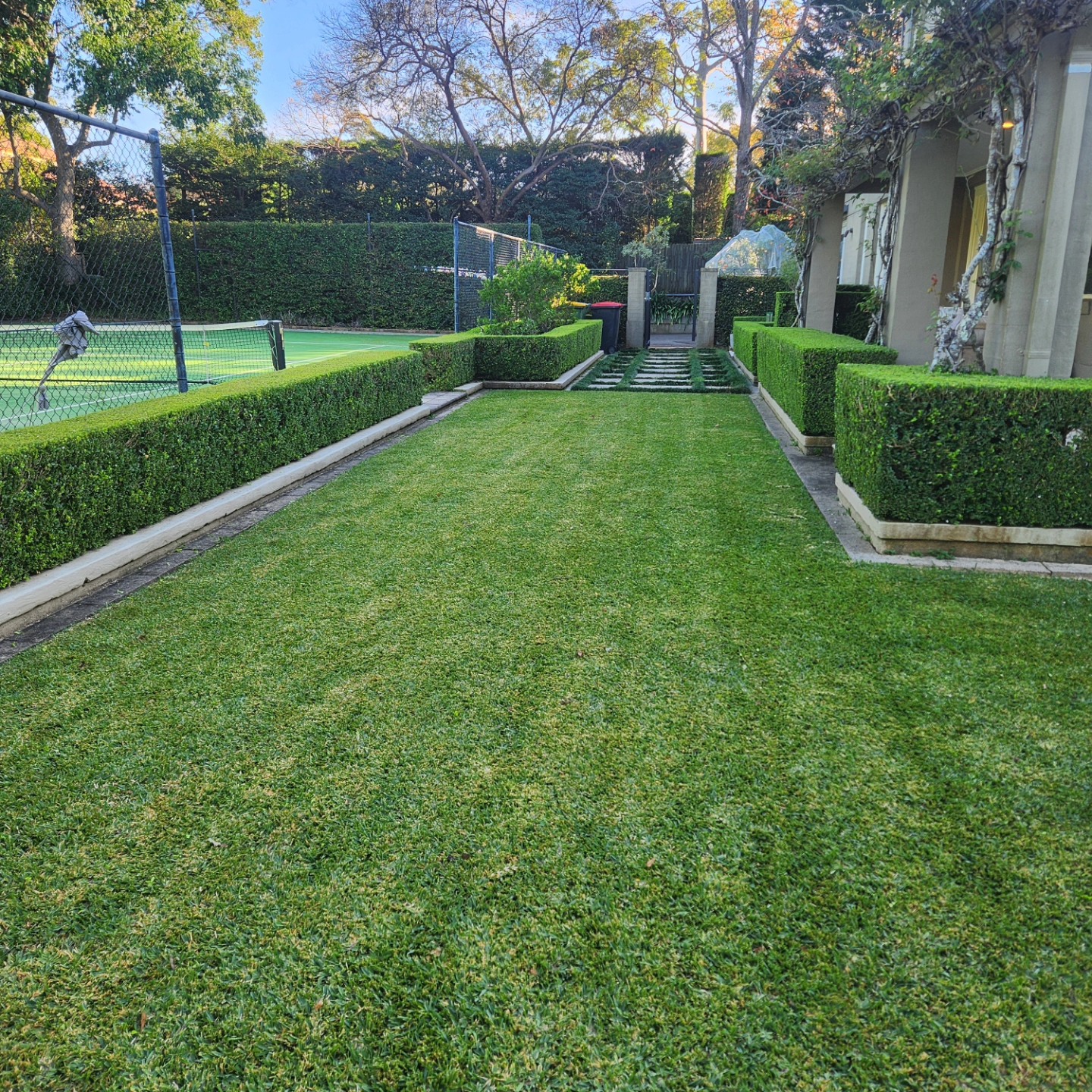 Pool with terraced formal buxus hedge — Upper North Shore