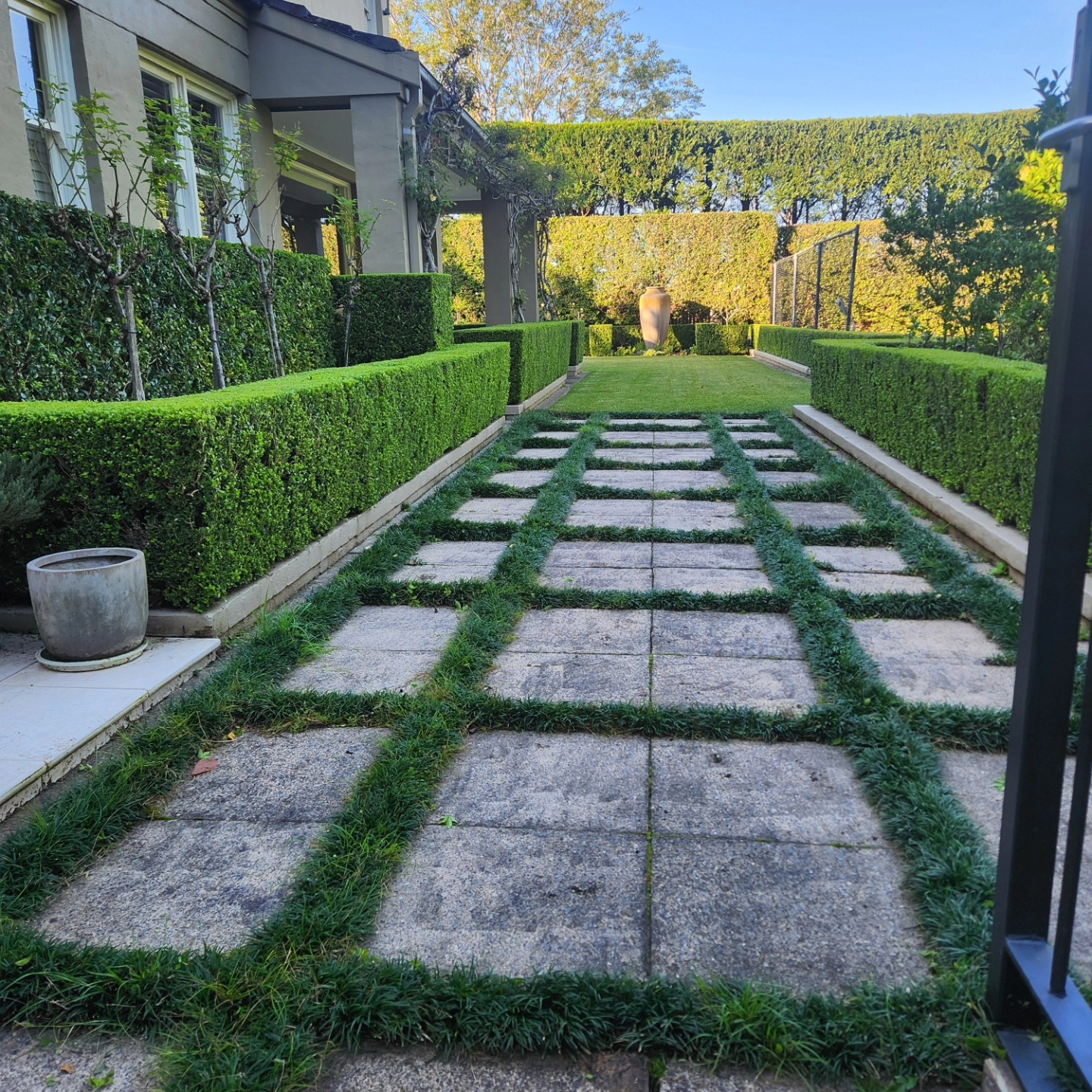 Stepping stone path through immaculate formal hedging — Upper North Shore estate